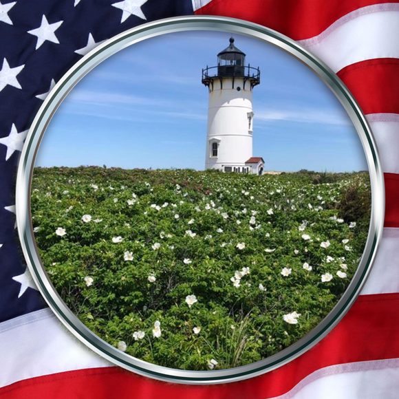 Meet your Posher, Steven - Picture 1 of 1